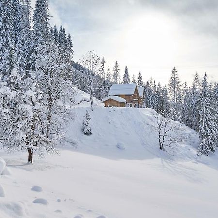 Chalets Almidylle Sankt Martin am Tennengebirge Esterno foto